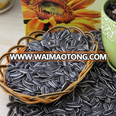 Chinese inner mongolia raw best sunflower seeds