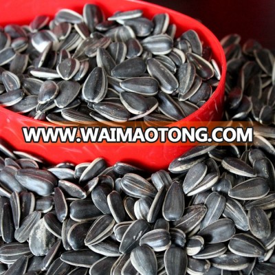 Chinese new crop wholesale sunflower seeds, top quality