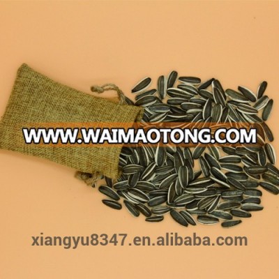 Inner Mongolia Hot Sale Sunflower Seeds