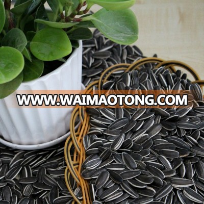 2014 New Crop Sunflower Seeds long shape 5009