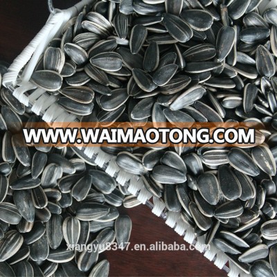 High Quality Dried Raw Chinese Origin Sunflower Seeds