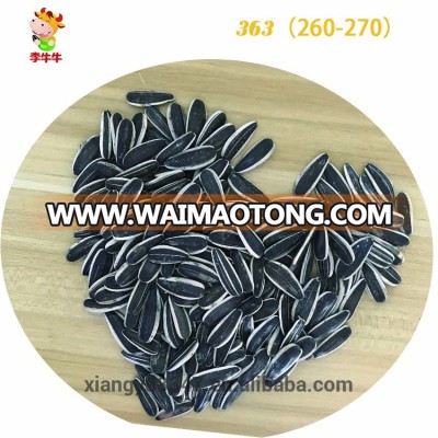 China Green sunflower seed363(230-240)