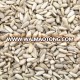 New Crop Chinese Bakery Sunflower Seed Kernels