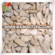 sunflower seed kernels confectionary for usa