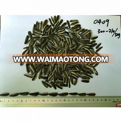 high quality sunflower seeeds 0409 in China