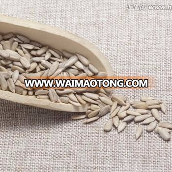 Sunflower seeds kernels green food inner mongolia